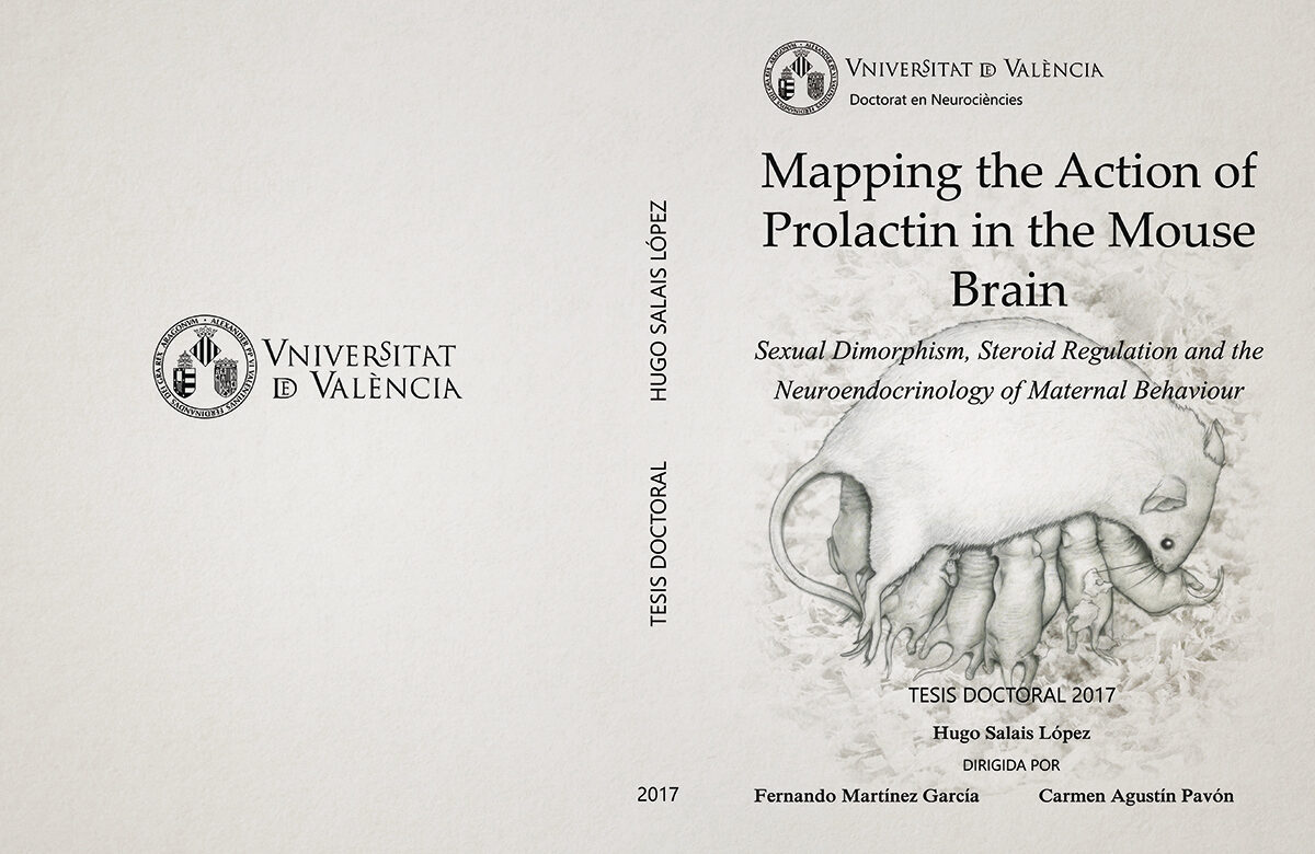 Conducta maternal del raton
