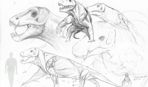 Hoja de bocetos de paleoarte con estudios de musculatura, escala humana y anotaciones técnicas para la reconstrucción de un reptil prehistórico.
