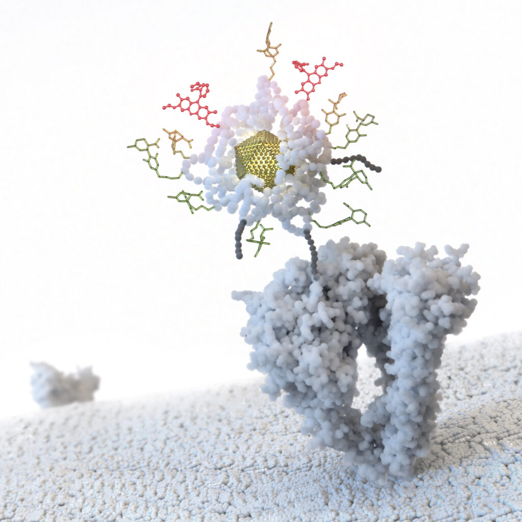 Visualización de biología molecular Modelo tridimensional de una proteína de membrana interactuando con una nanopartícula de oro y moléculas fluorescentes.