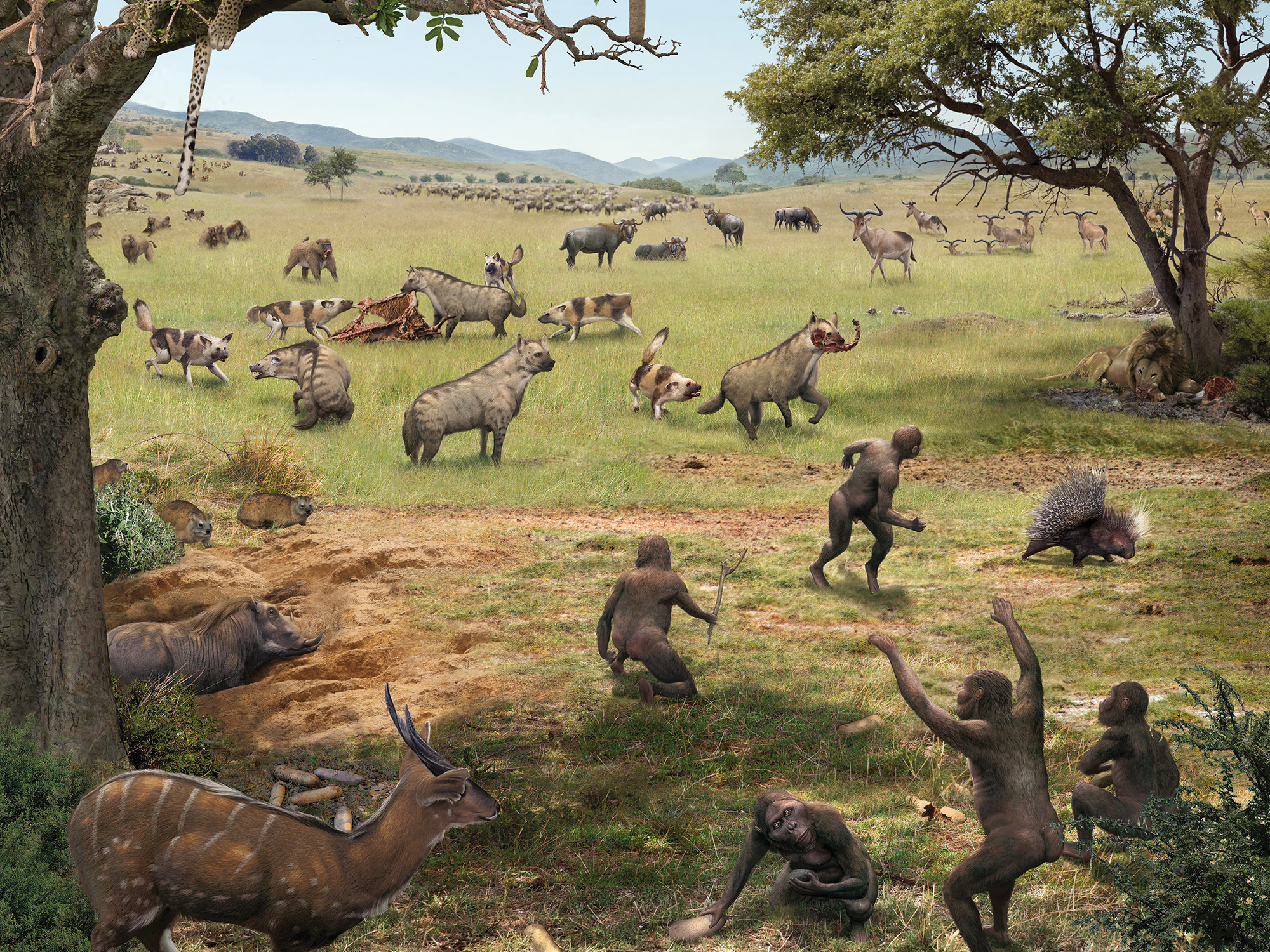 Reconstrucción de paleoarte de Metazoa Studio que muestra homínidos y fauna prehistórica en un ecosistema detallado para divulgación científica.